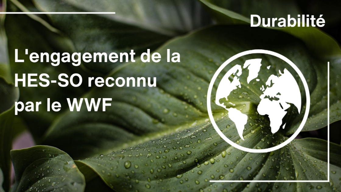 WWF FB Et LKDN
